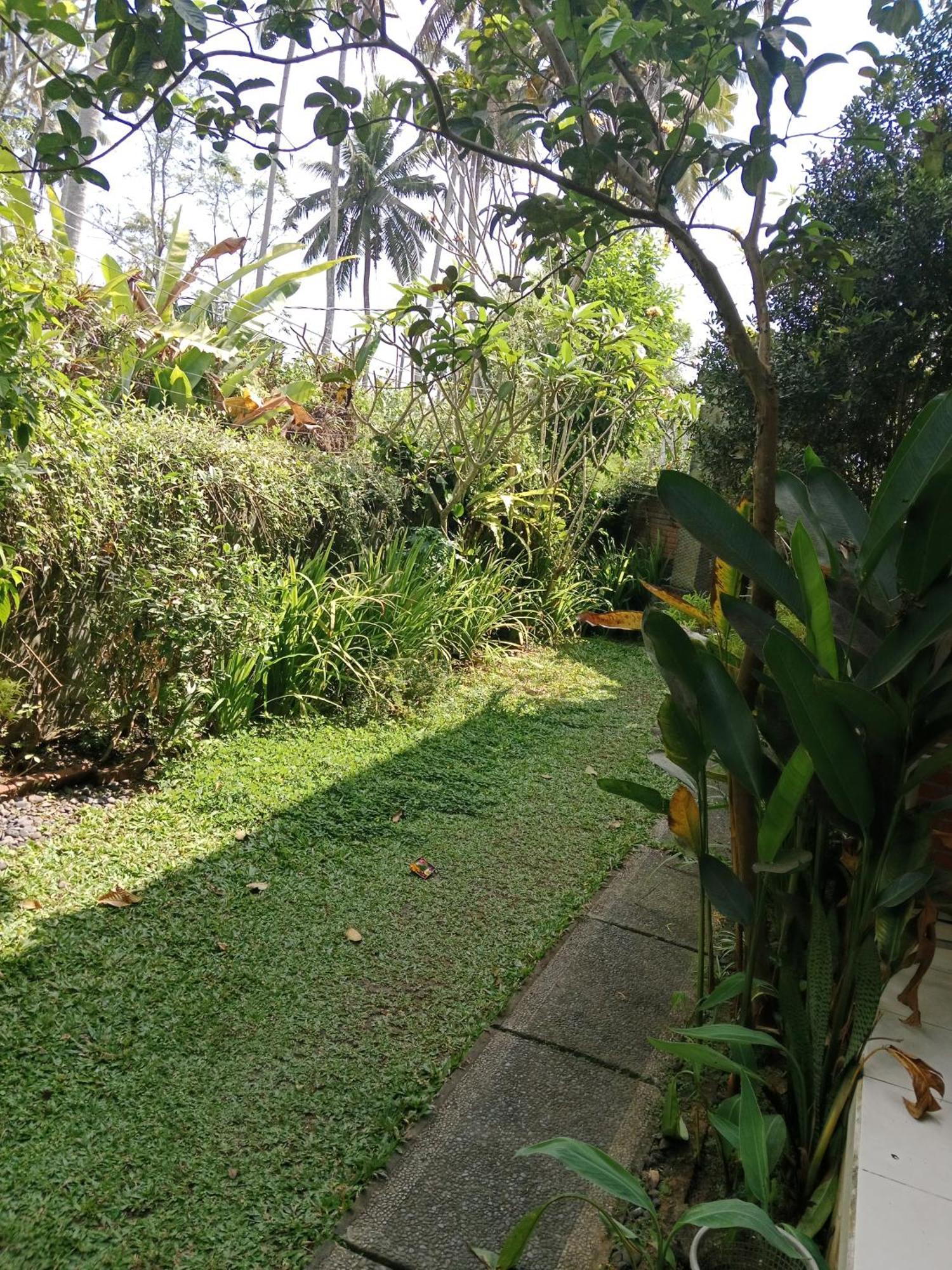 Sunrise Coconut House Hotel Ubud  Exterior photo